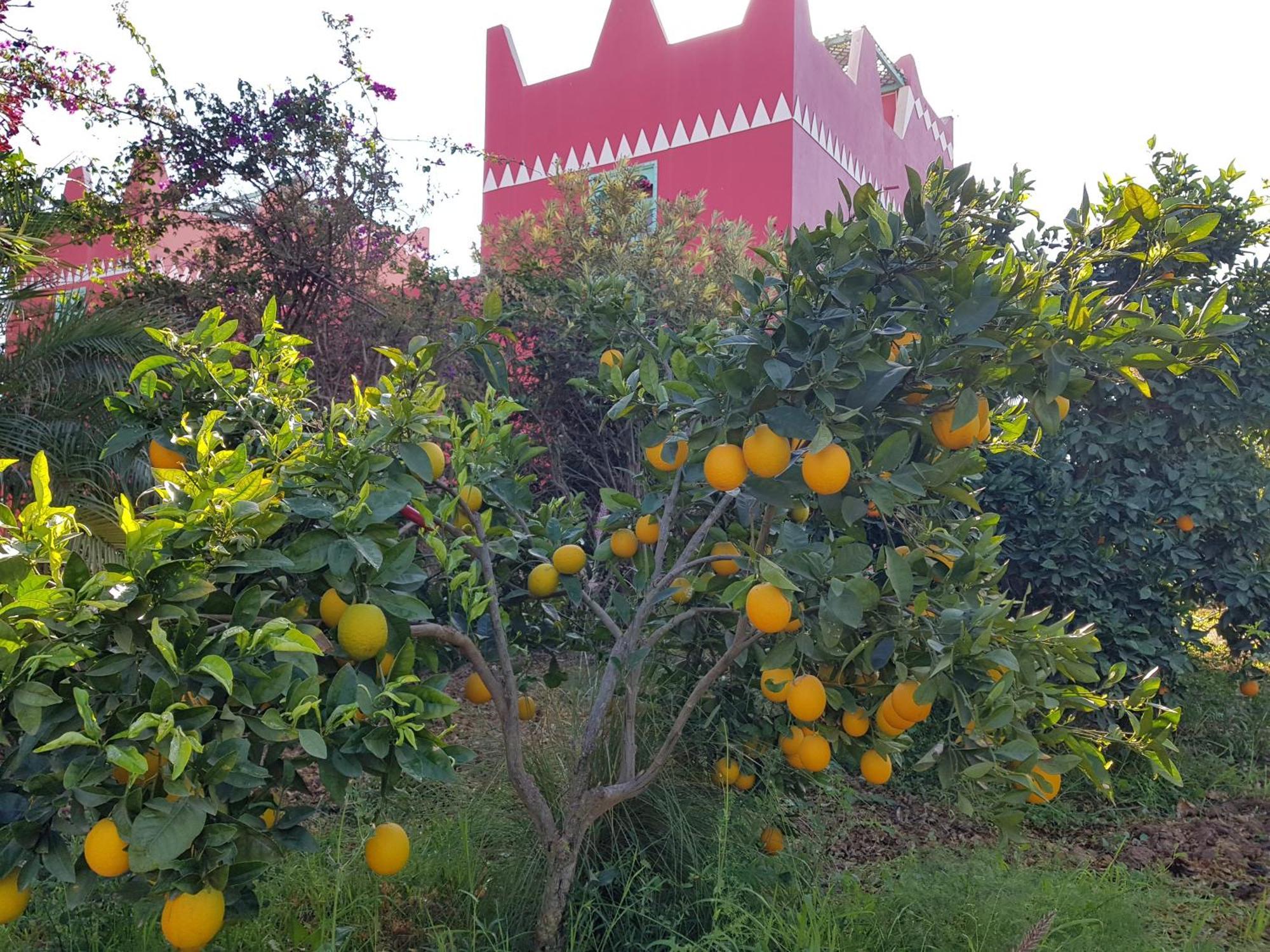 Riad-Villa Agadir-Taroudant Sidi Boumoussa Exterior photo